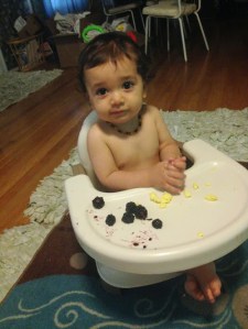 "Why do you keep telling me eggs from chickens?"